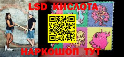 гашик Будённовск