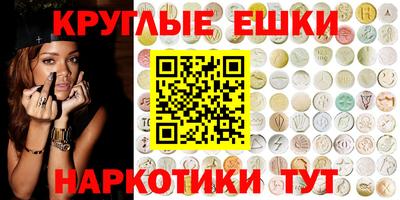 гашик Будённовск