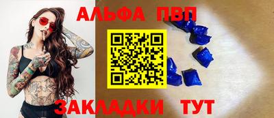 гашик Будённовск