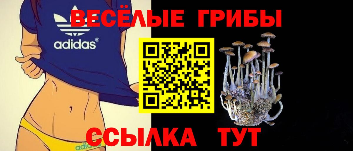 Галлюциногенные грибы мухоморы Махачкала